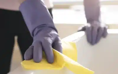Descubriendo la Limpieza Biodegradable: Más Allá de los Productos Químicos